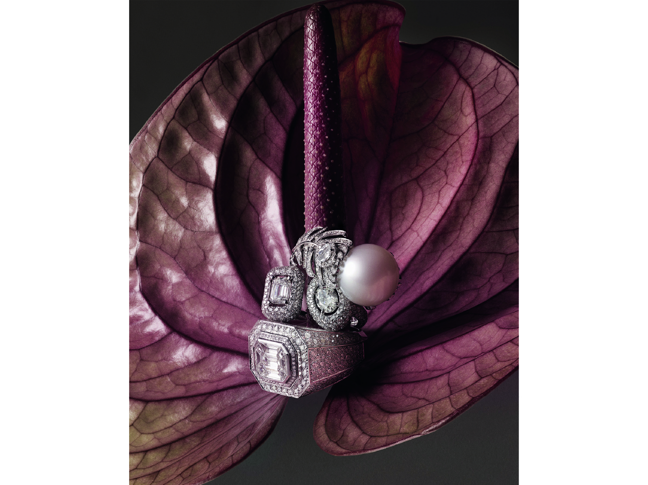 BOUCHERON :Bague « Plume de Paon », pavée de diamants ronds, sertie de diamants taille rose et d’une perle, sur or blanc. MESSIKA Paris :Collection Haute Joaillerie Midnight Sun Opus IIBague « Precious Flow »  en or blanc sertie de diamants pour 4.70 carats. Bague « Lunar Diva » en or blanc sertie de diamants pour 5.37 carats.