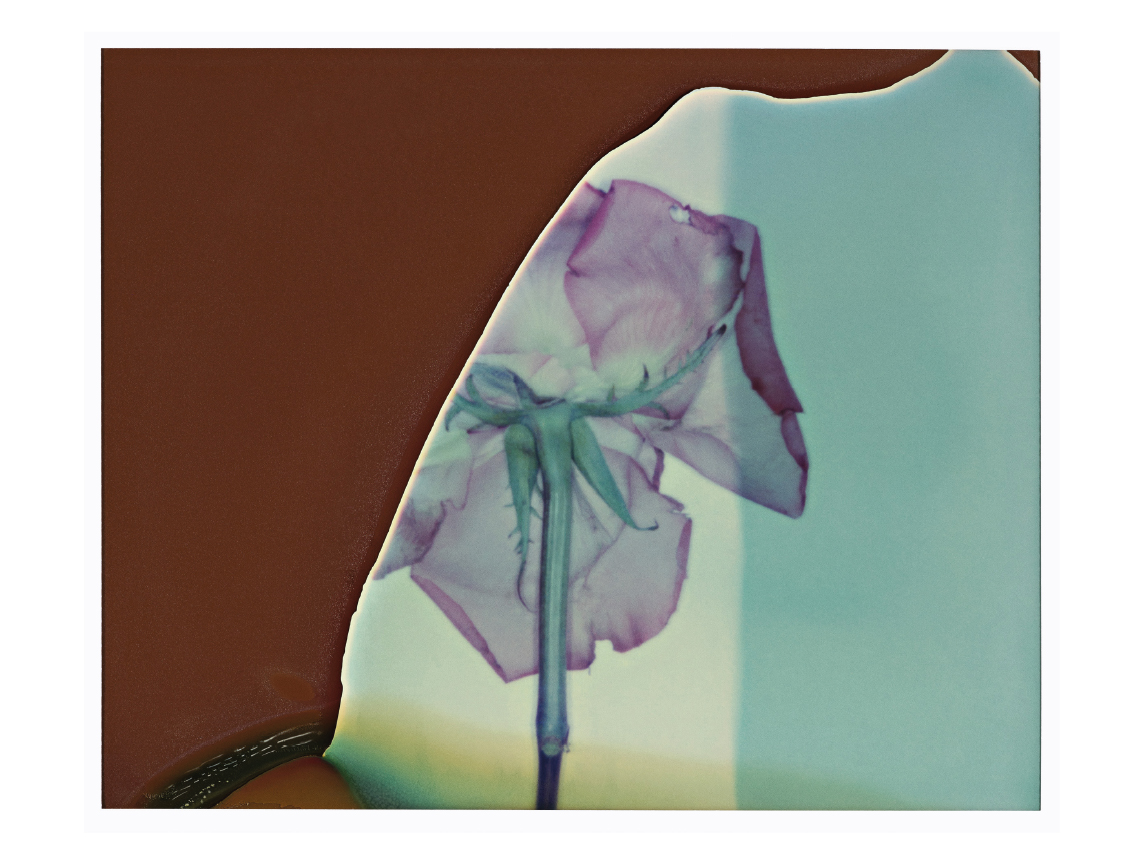 Ines Dieleman nouvel ouvrage intitulé Polaroïd aux éditions 37,2