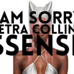 LE RETOUR DE LA VISIONNAIRE PETRA COLLINS AVEC I'M SORRY SUR SSENSE